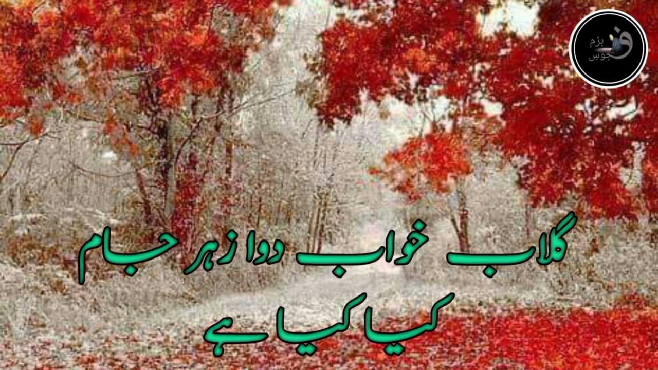Gulaab Khawab Dawa Zehar Jam Kya Kya Hai Best Urdu Poetry Rahat