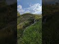 Звуки природы💦 #shorts #reels #nature #russia #summer #природа #башкортостан #святойисточник #лето