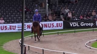 Narri Frá Vestri-Leirárgörðum, Wc17F1