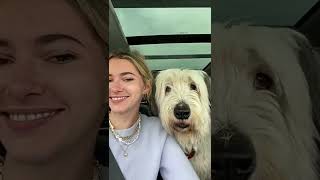 Love Is Such An Inadequate Word To Describe What I Felt For Murph I Found Him A Couple Of Weeks Af