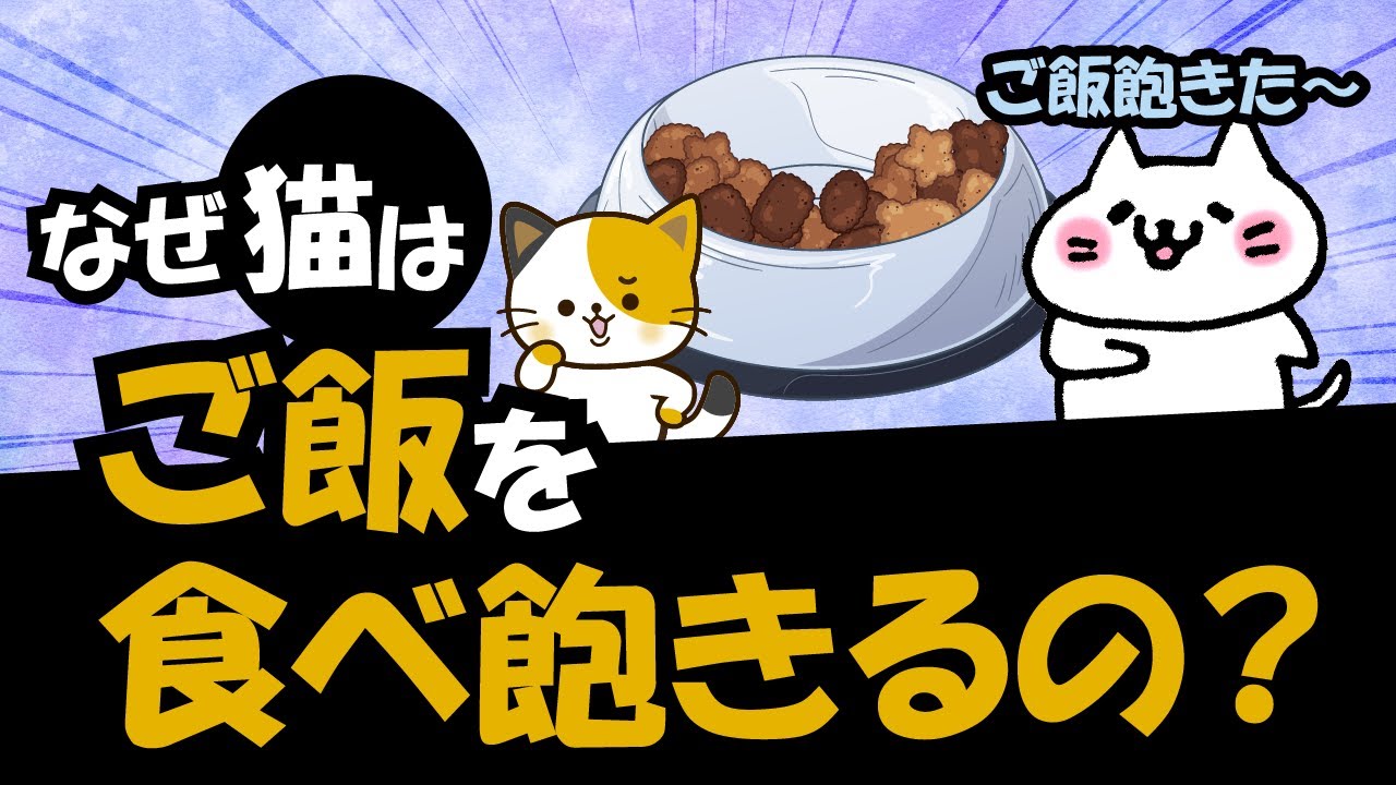 猫がご飯を食べ飽きるのは、野生時代から受け継ぐ「ある5つの本能」に関係している！