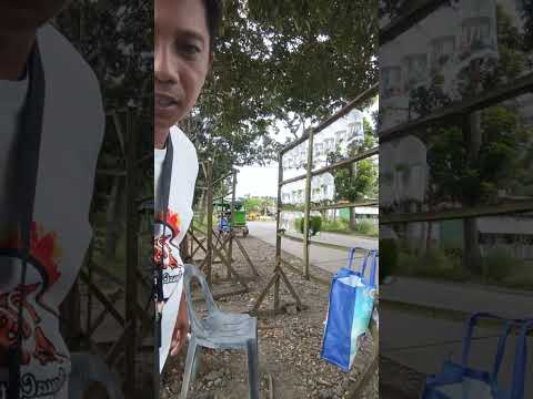 Highlight 5:12:33 - 5:17:33 from Ka Memo fam is live! Hello Monday Hello Road