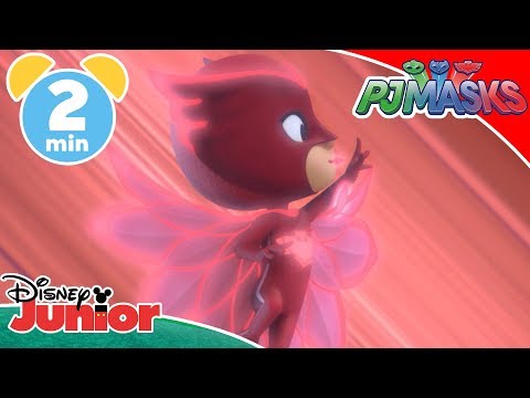 PJ Masks | Touch The Sky 🦉 | Disney Kids