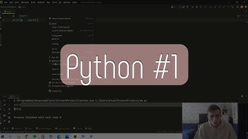 Как работает input и print в python