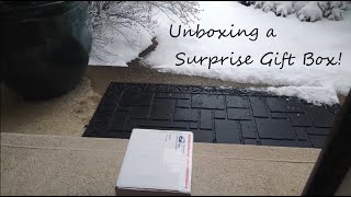 Unboxing a Gift Box from a Friend | What's Inside? 🎁| Housewife Vlog by The Quaint Housewife 1,316 views 1 year ago 8 minutes, 16 seconds
