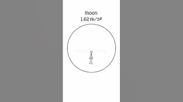 Just watch till the end… the last one’s the wildest #simulation #satisfying #adhd  #physics #rpg