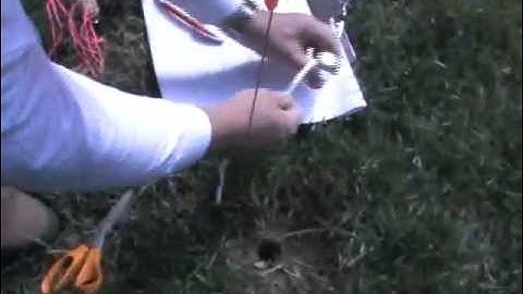 Investigating Vapor Intrusion