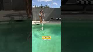 Cleaning Your POOL? Do This First ☝️
