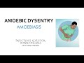 Feco-Oral diseases: Amoebic Dysentery (Amoebiasis) Lecture