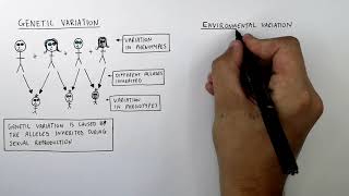 GCSE Biology - Variation: Genetic & Environmental