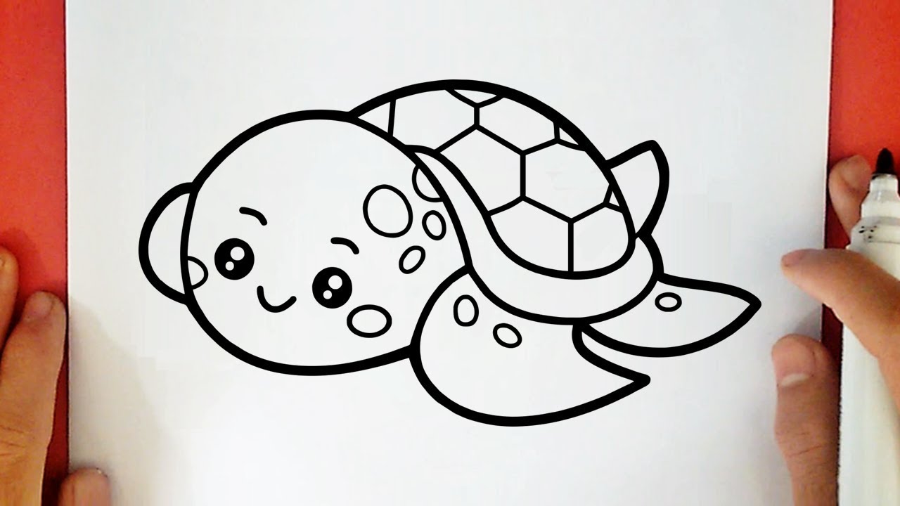 how to draw a cute turtle