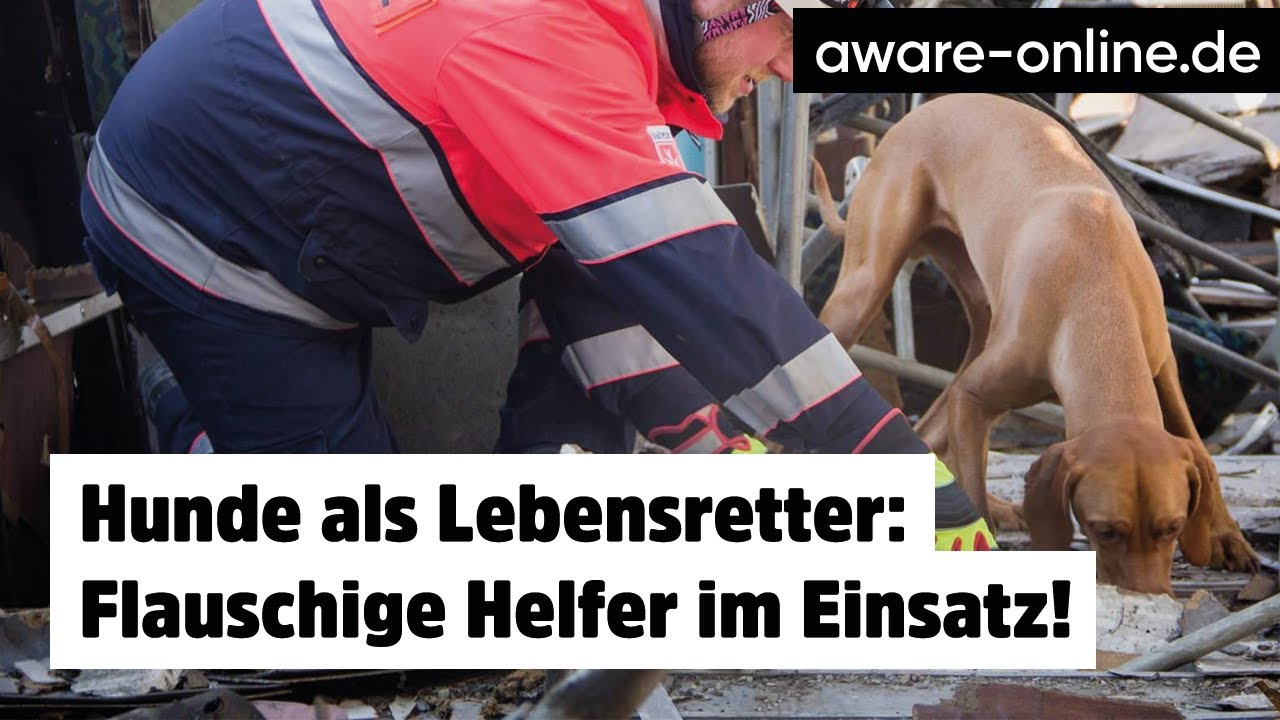 Tierisch Gut Die Helferinnen Und Helfer Von Der Rettungshundestaffel
