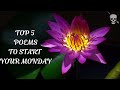 Motivational mondays top 5 soothing poems narrated poetry calm narration poet