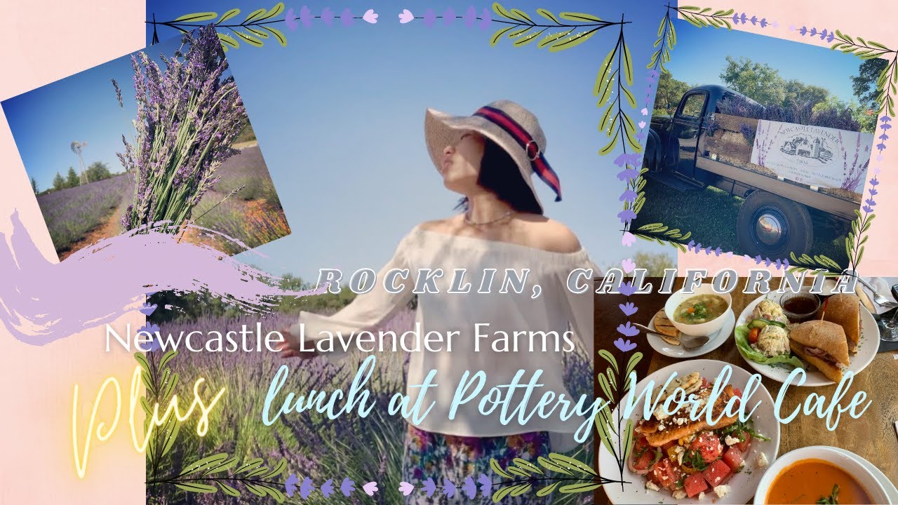 Newcastle Lavender Farms PLUS lunch at Pottery World Cafe Rocklin