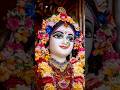 radharani 💞💞 #shotrs #iskcon #radhakrishna #shortsvideo