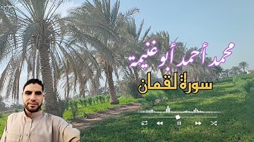 سورة لقمان هدوء وسكينة (هذا خلق الله) محمد أحمد أبوغنيمة.