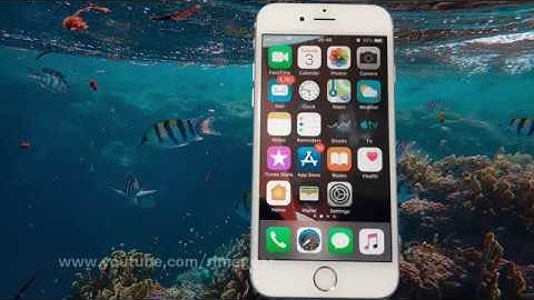 How to enable or disable Web SQL in safari on iPhone 6