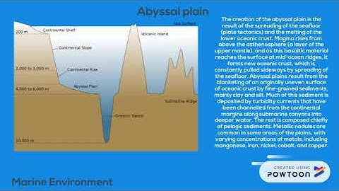 Marine Depositional Environment