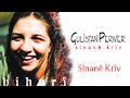 Gulstan perwer  snan krv  official music 1998 ses plak