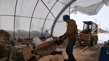 Echo 7310p Review and Test cuts