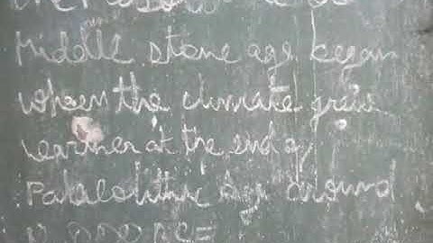 MESOLITHIC AGE - CHAPTER - 2 - PREHISTORIC MAN - HISTORY - LEARN WITH US