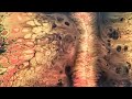 Rachis du Papillon (Acrylic Fluid Art / Acrylic Pouring / Swipe)