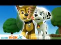 Paw Patrol, Patrulla de cachorros | Miedo al dentista | Nick Jr. en Español