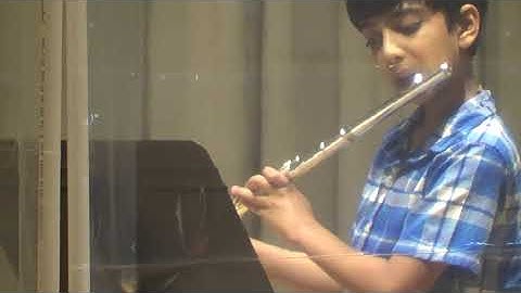 F. J. Haydn - String Quartet Op 1 No 1 in B Flat Major, Movement 1: Presto