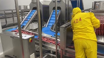 Electric sausage stuffer line