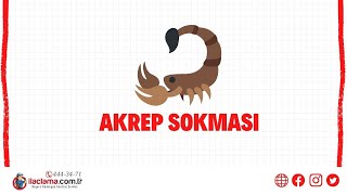 Akrep Sokması - Ilaclama.com.tr