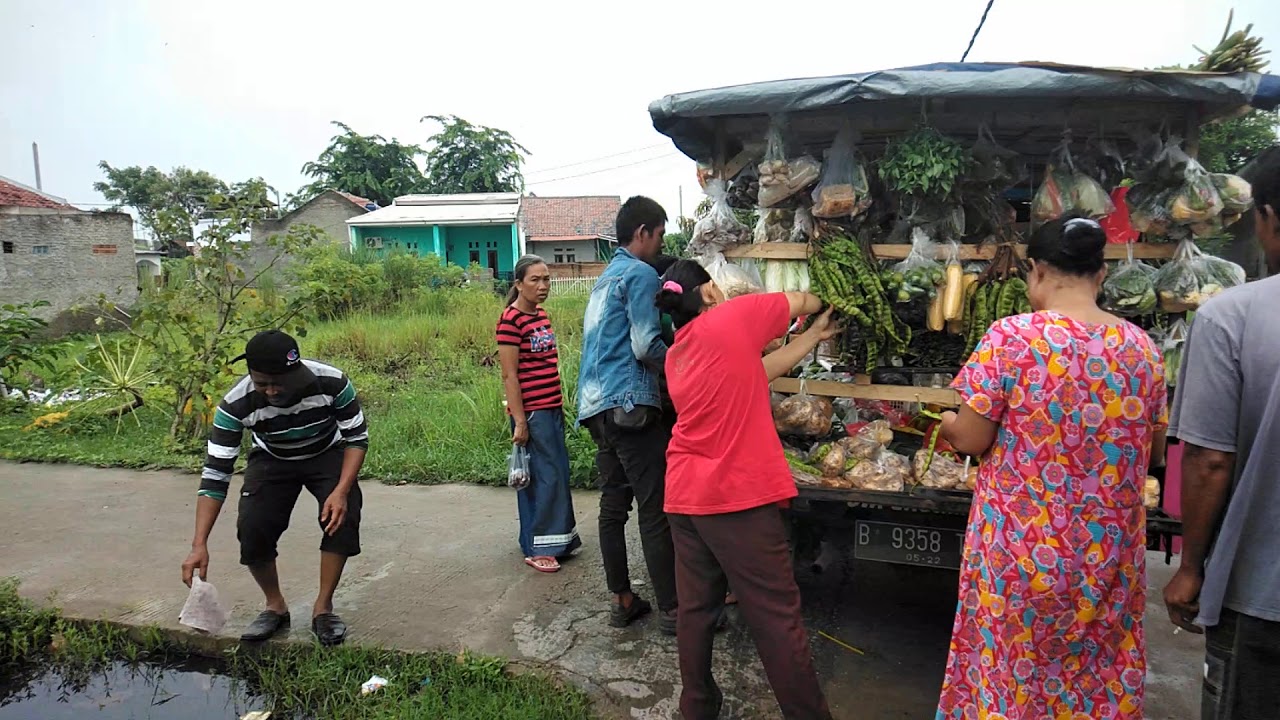 Alphard di Kalimantan: Mewah di Jalan Raya, Ramah di Ladang Sayur
