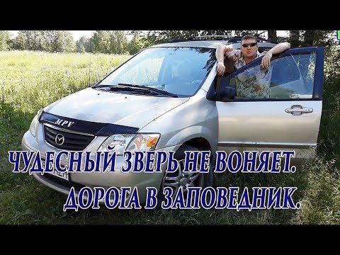Мазда мпв не заводится
