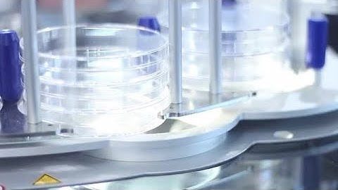 Hi-Tech Biochemical Laboratory  Stock Video