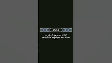 وان ربك ليعلم ما تكن صدورهم #اسلام_صبحي #quran #تلاوة_خاشعة #راحة_نفسية #tilawat #اكسبلور #لايك