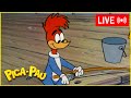 LIVE 🔴 Pica-Pau é o Melhor Pescador! + Mais! 🎣 Pica-Pau Antigo 🔴 Maratona de Episódios Antigos
