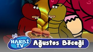 Harbi Tv - Ağustos Böceği Hikayesi