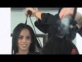 Tuto lissage brsilien urban keratin sans formol tape par tape