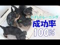 トイレトレーニングスタート！！