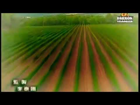 Meteor Garden S2 Ep01 Tagalog