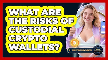 What Are The Risks Of Custodial Crypto Wallets? - All About Crypto Exchanges