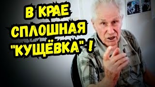 🔥Инцидент в приёмной депутата Государственной Думы ! Динская /Краснодарский край