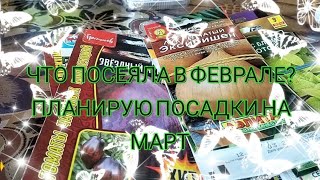 Что посеяла в феврале?Мои всходы!🫣 Планирую на март! 📑Окончательный выбор Томатов 🍅🍅🍅