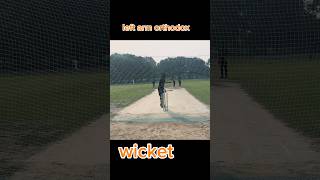 left arm orthodox. #cricket #cricketlover #fyp #viralvideo #youtube #shortvideo #support