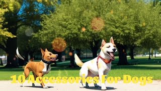 10 Accessories For Dogs screenshot 5