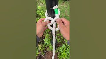 The KING of Knots for ever!