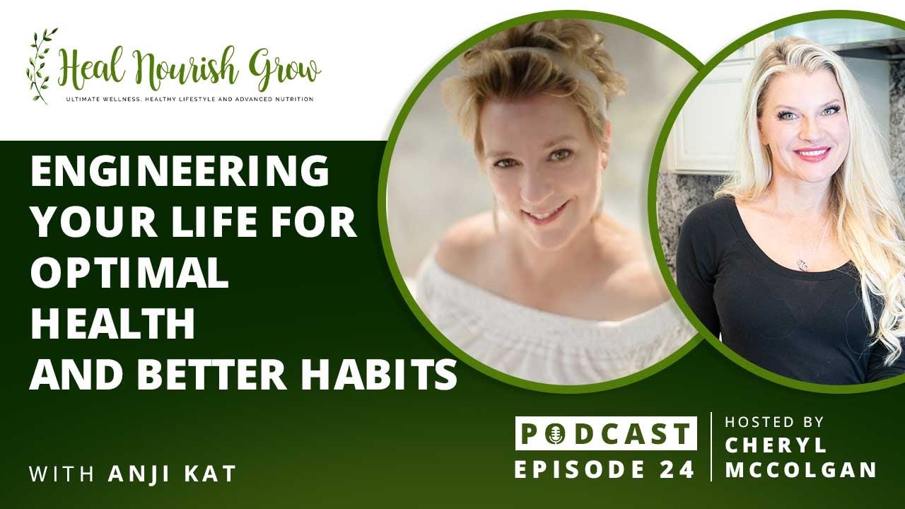 Engineering Your Life for Optimal Health and Better Habits 24 YouTube