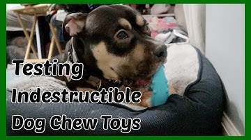 Indestructible Dog Chew Toys? | Aggressive & Super Chewer | Dog Does Reviews