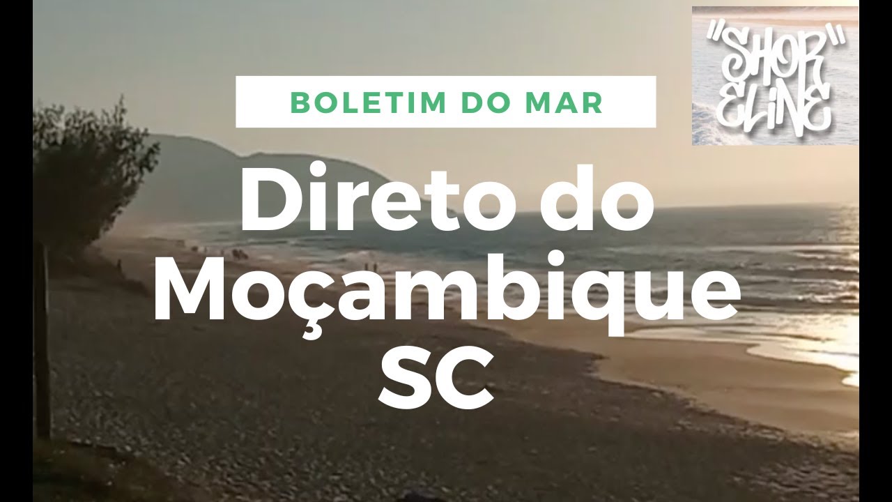 Boletim do Mar direto do Moçambique @shorelinesurfskate