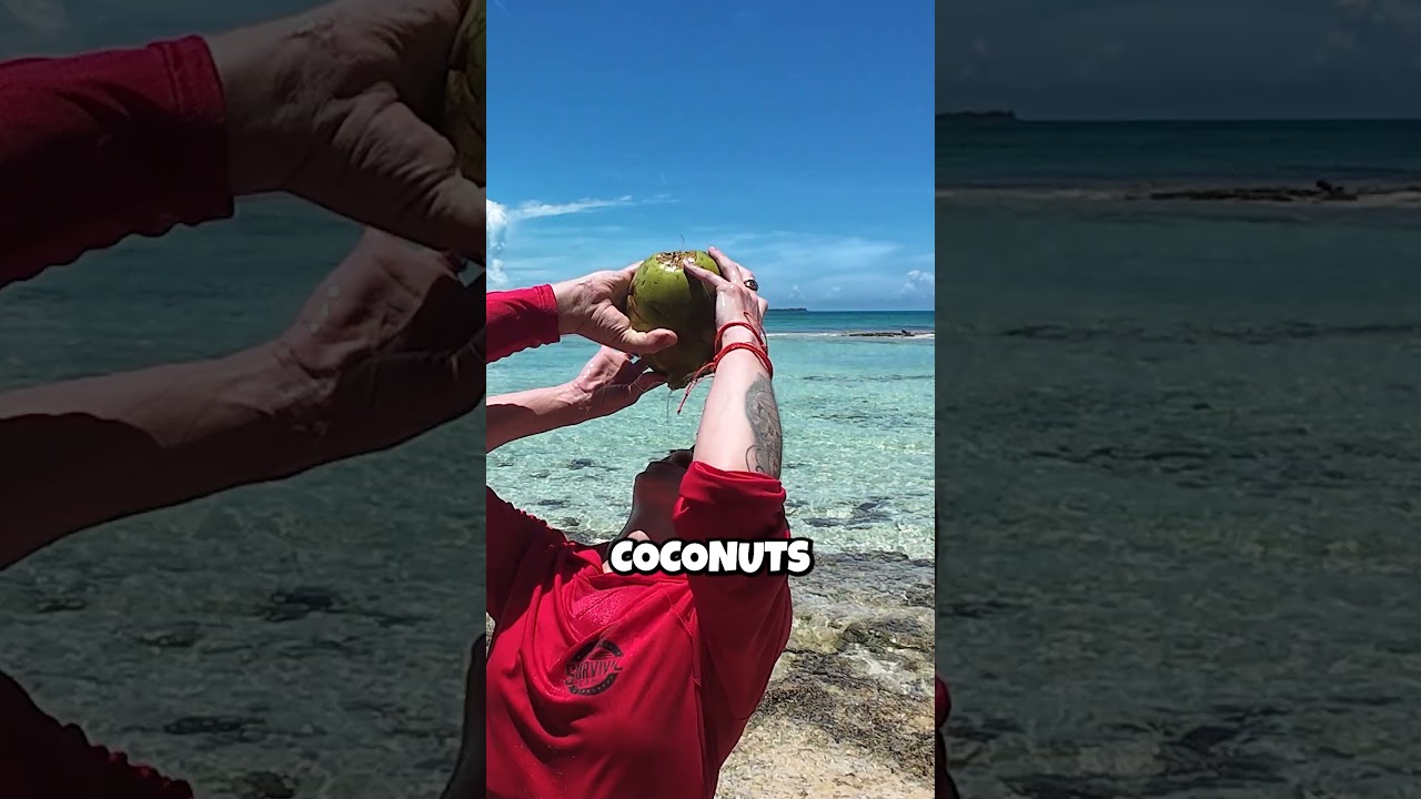How To Start a Fire With a Coconut