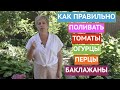 КАК ПРАВИЛЬНО ПОЛИВАТЬ РАСТЕНИЯ! ДЕТАЛЬНЫЙ РАЗБОР ПО КУЛЬТУРАМ!